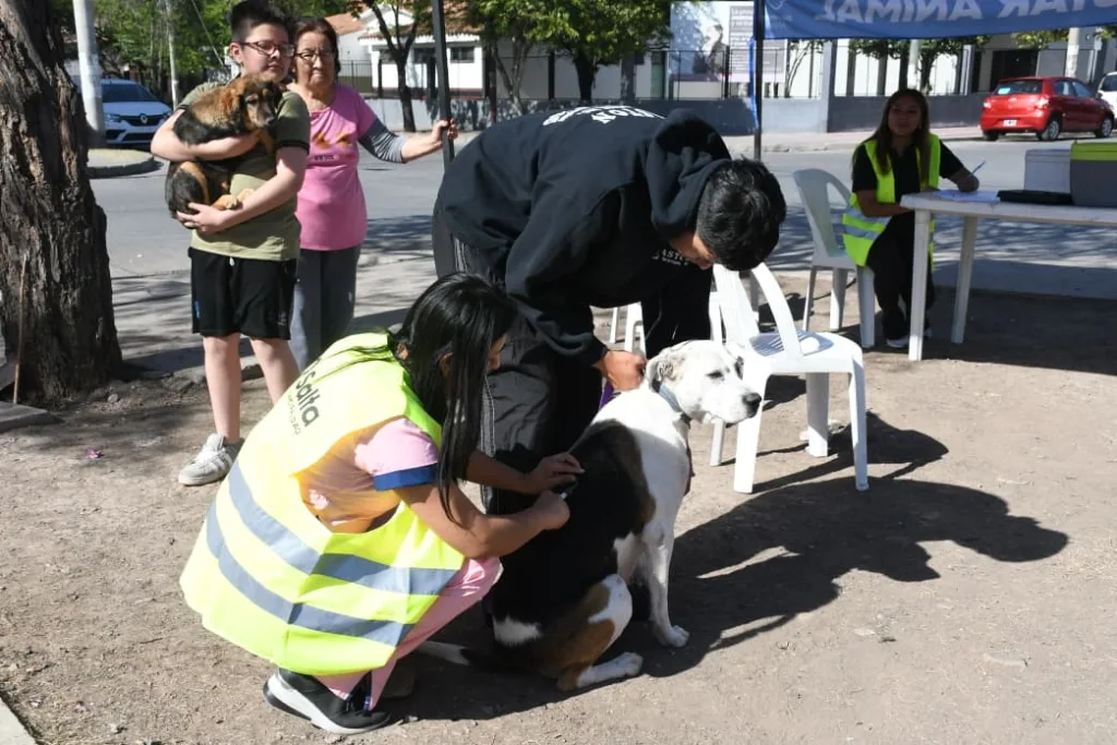 vacunacion-antirrabica-en-miguel-ortiz-2-1024x683