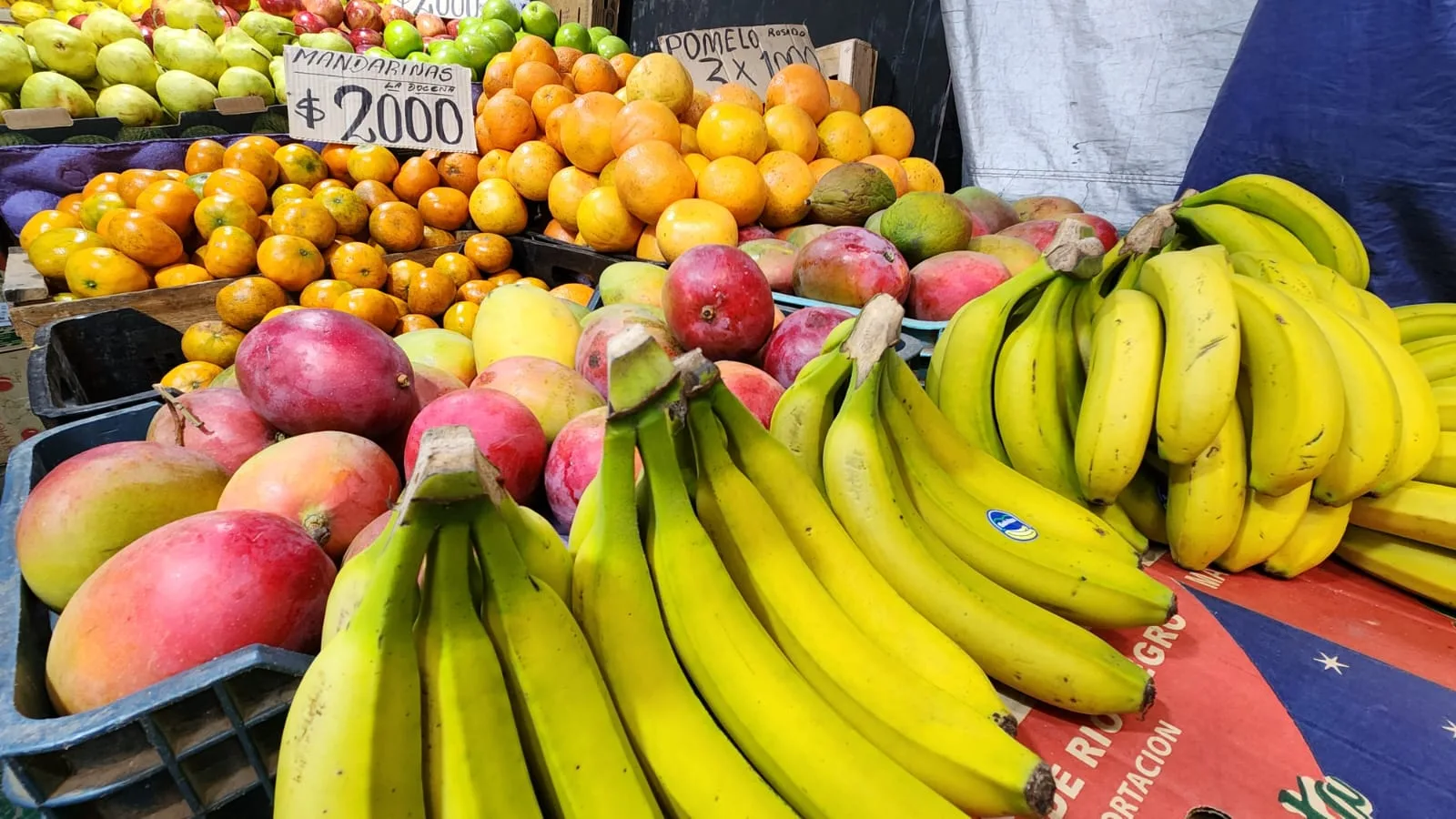 frutas 10 frutas 10