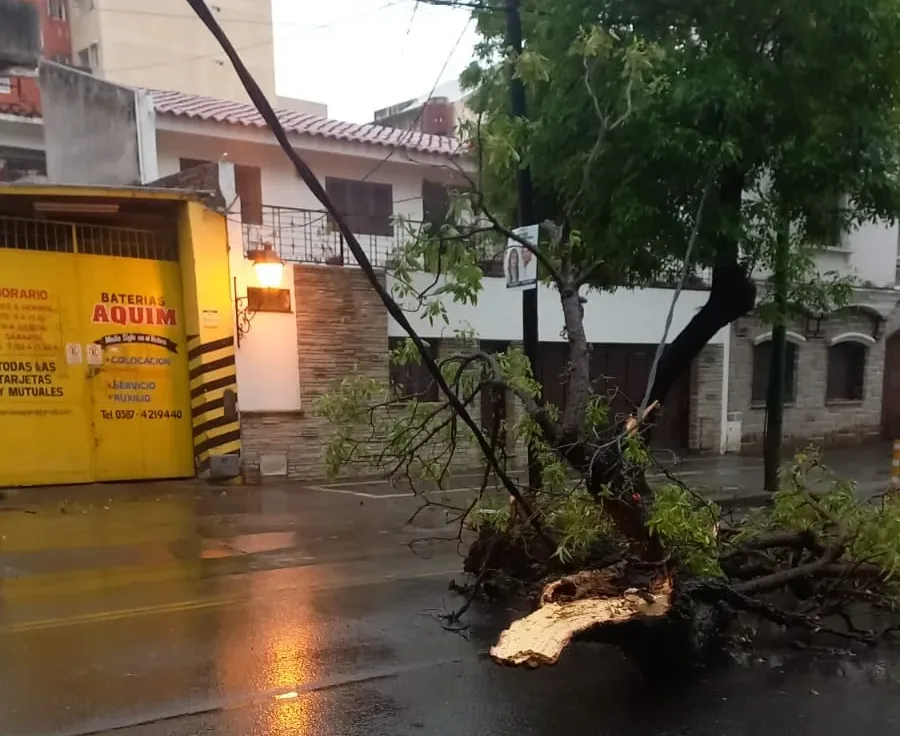 lluvias (4)
