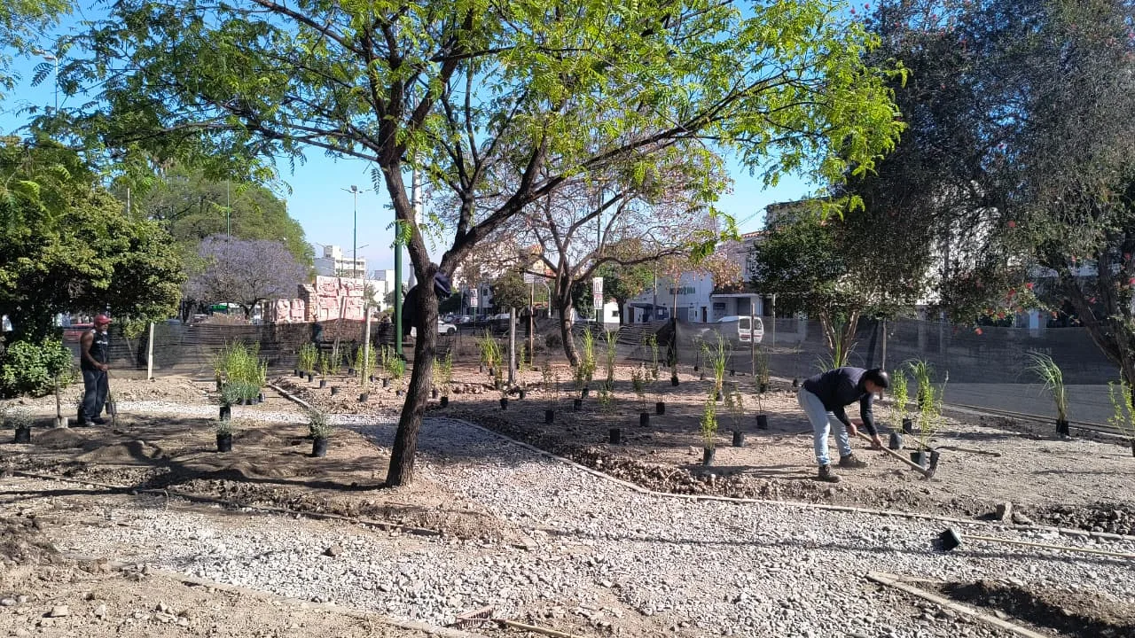 obras umbral av San Martín (4)