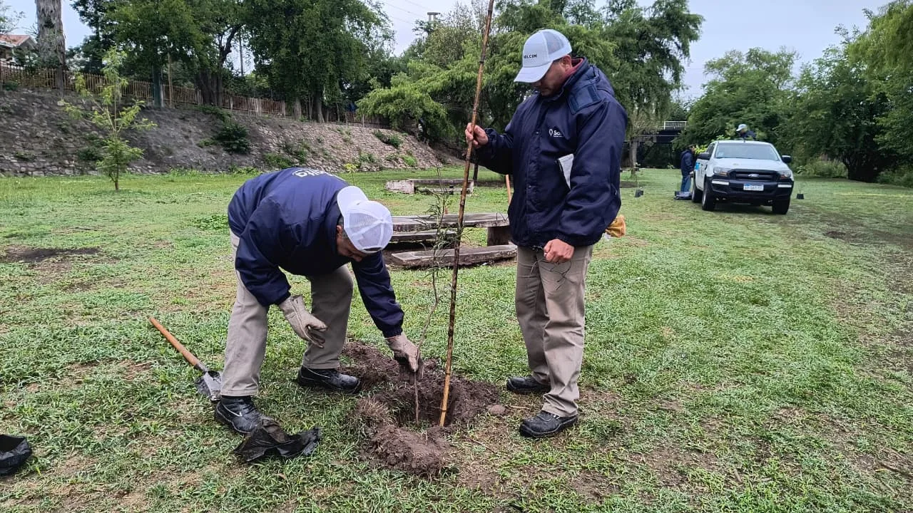 plantación comunitaria parques (7) plantación comunitaria parques (7)