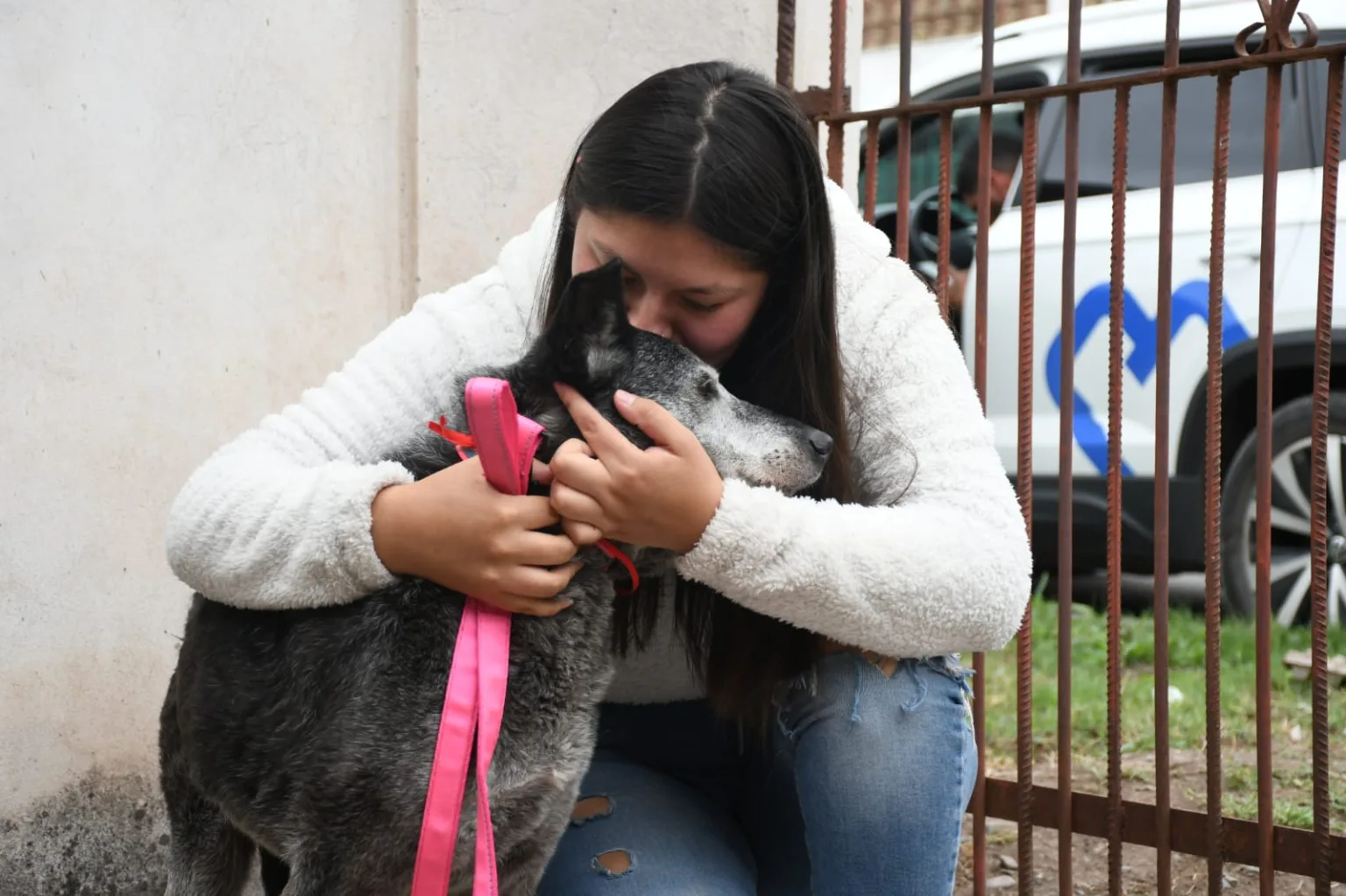 xuxa-perrita-adoptada-4-1536x1023