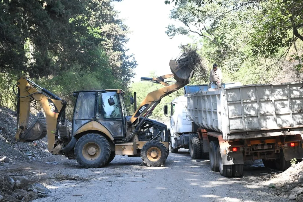 limpieza av gato y mancha (3) limpieza av gato y mancha (3)