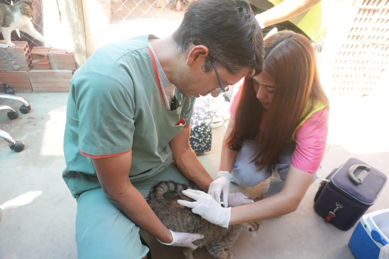 Operativo en Ampliación San Ignacio (4)