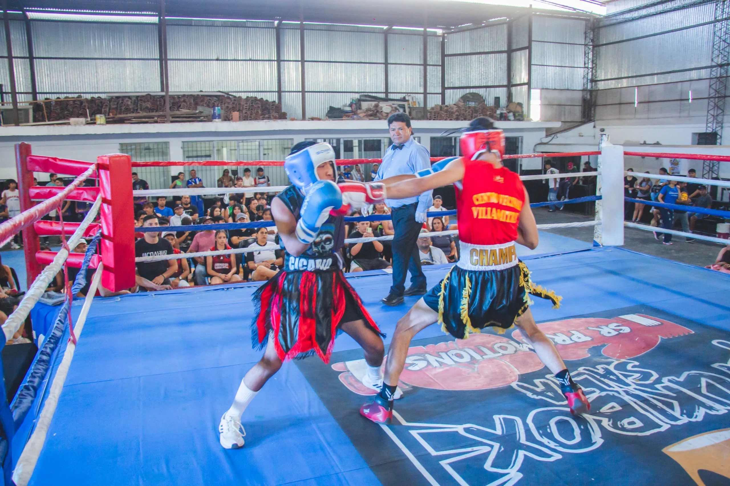 torneo municipal de boxeo  (1)