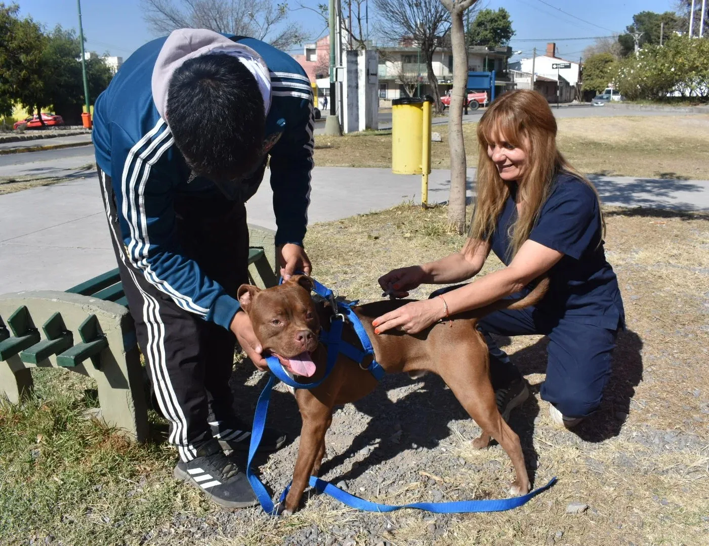 vacunacion-antirrabica-plaza-espana-1ok-jpg vacunacion-antirrabica-plaza-espana-1ok-jpg