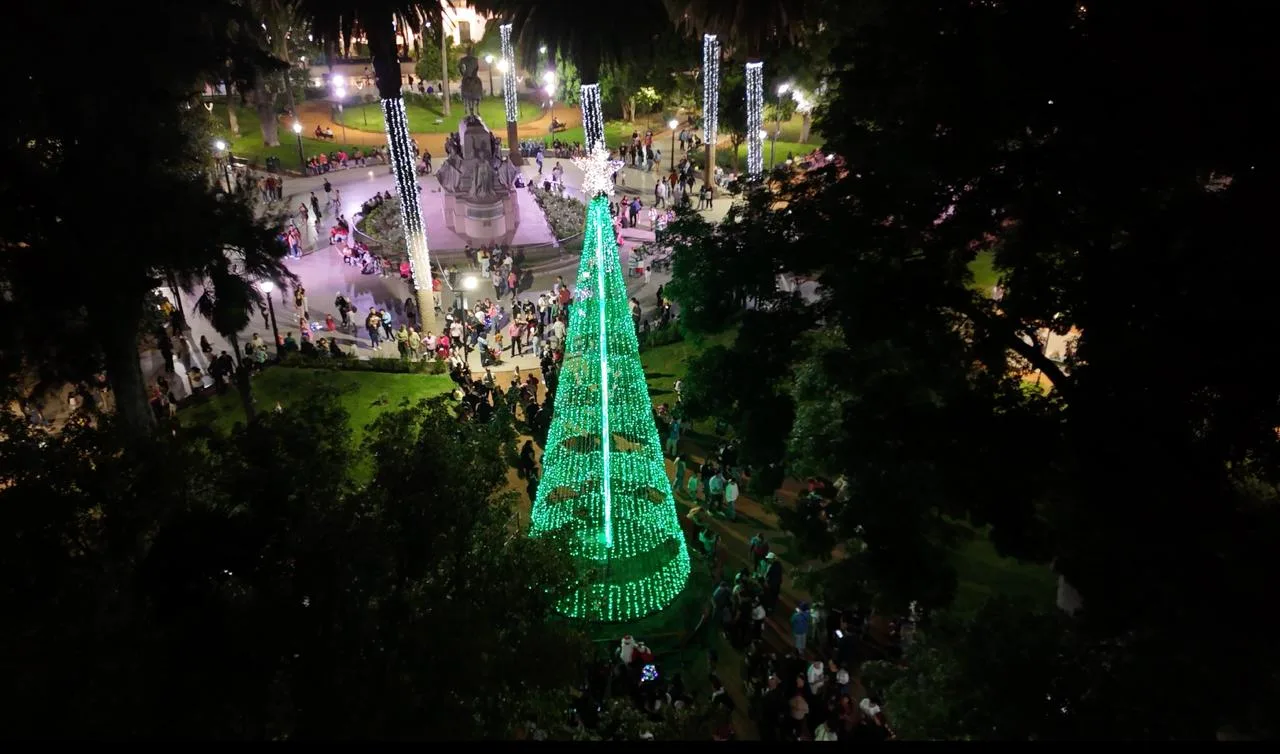 encendido árbol de Navidad 2025 3