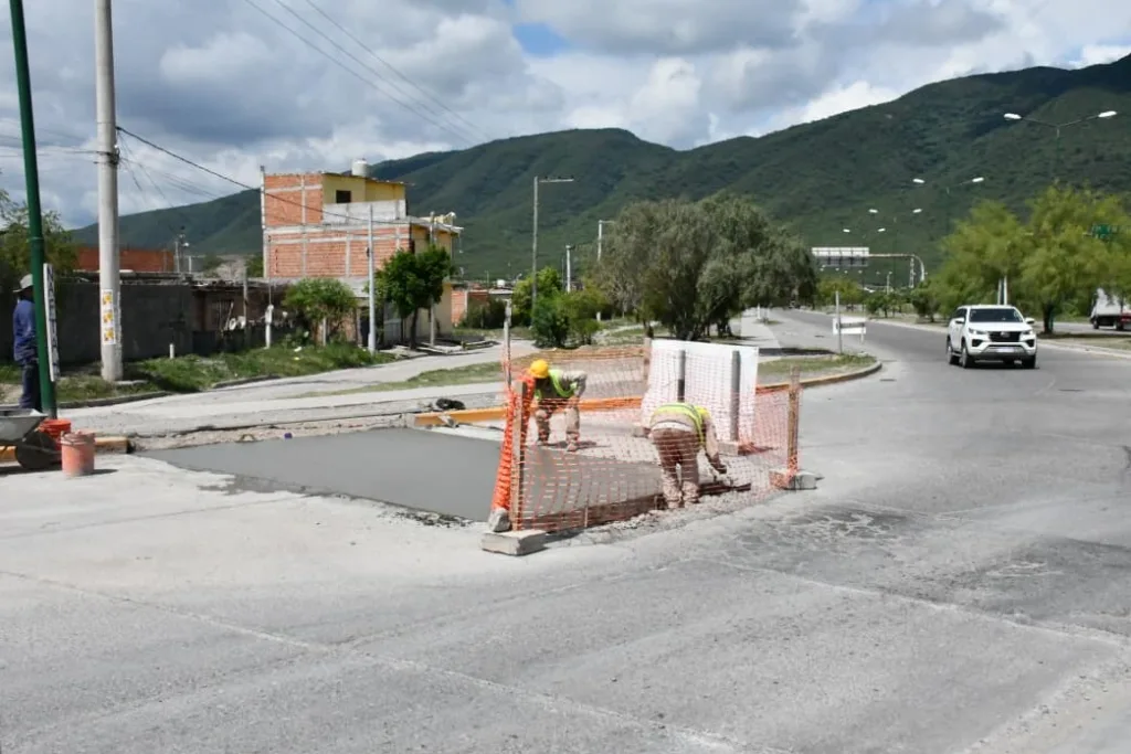 homigonado2-1-1024x683