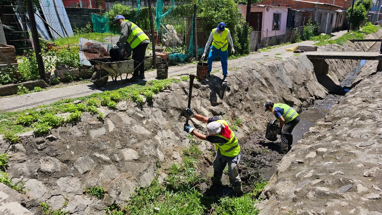 limpieza canal Tineo (6) limpieza canal Tineo (6)