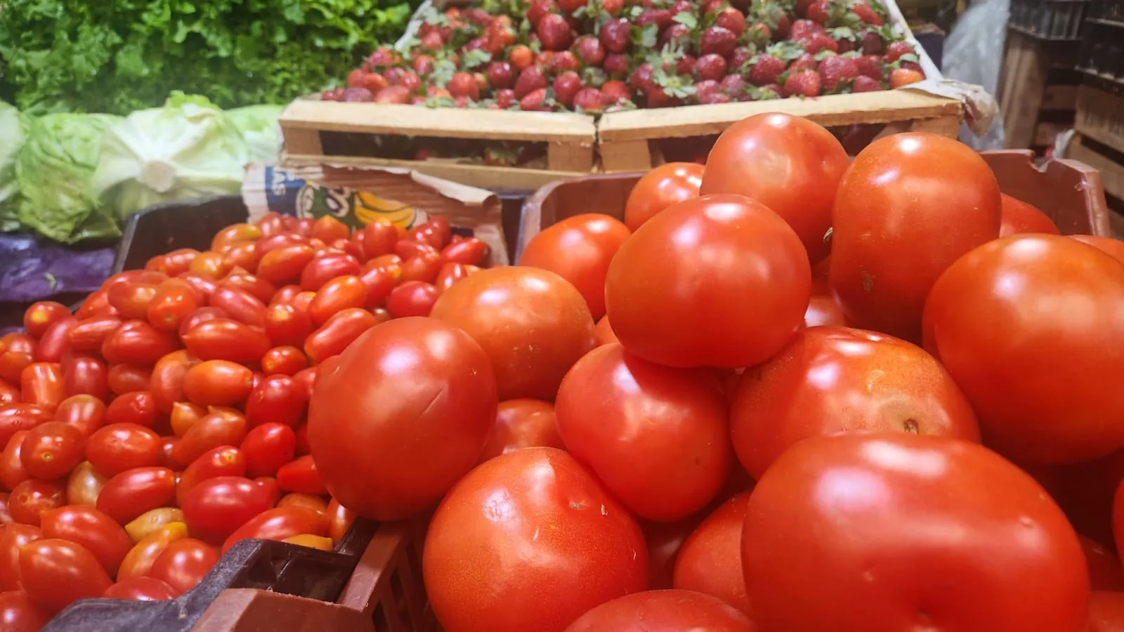 mercado (1) mercado (1)