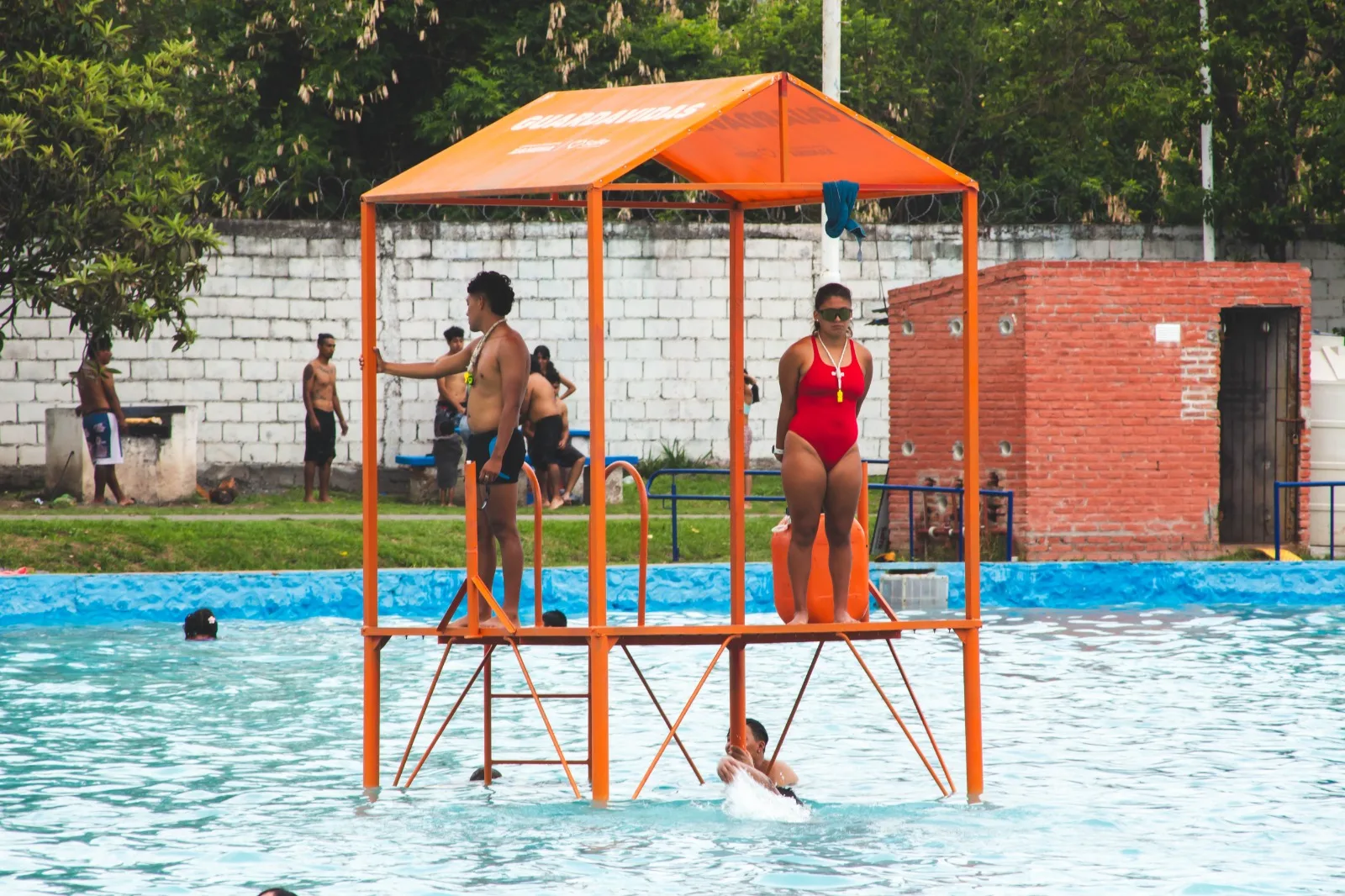 vitale (3) vitale (3)