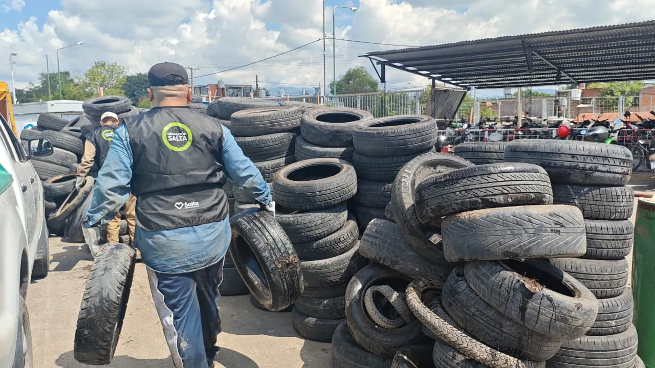 21° Neumatón (2) 21° Neumatón (2)