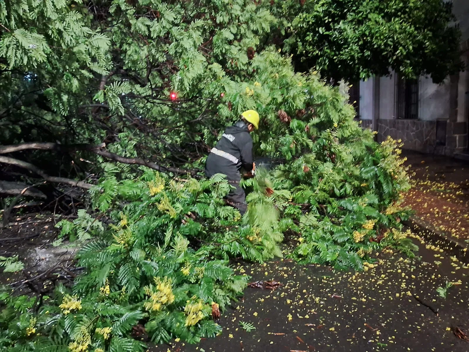 incidentes por lluvia (2)