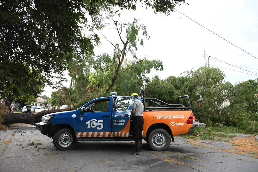 intervención x tormenta 8