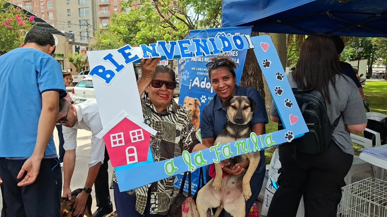 jornada de adopción 7