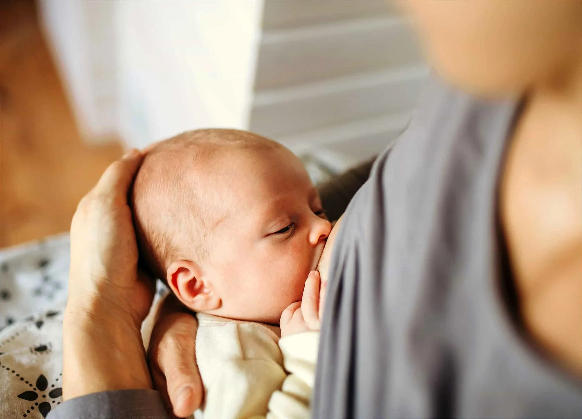 lactancia1 lactancia1