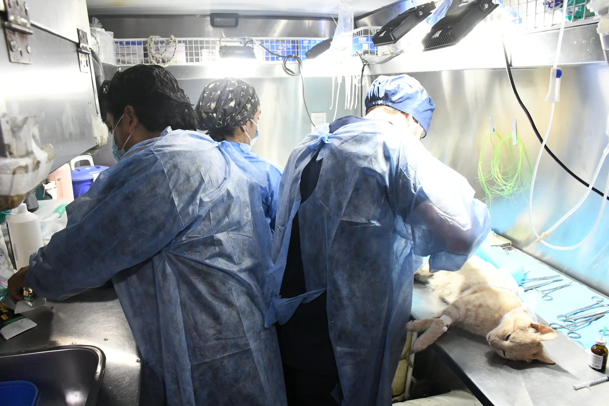 Móvil de castración Sargento Cabral (4)