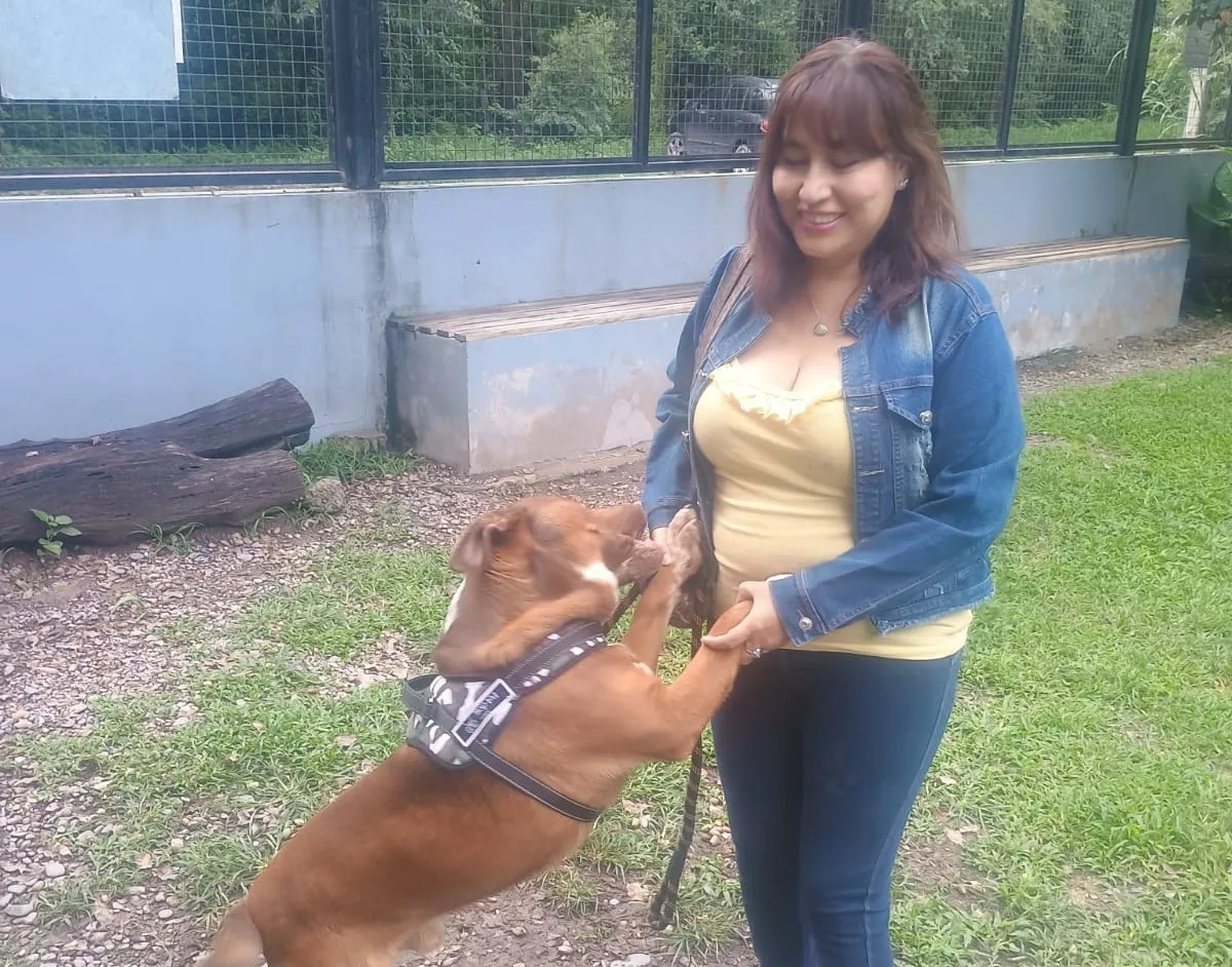 perro Chocolino hallado (2)