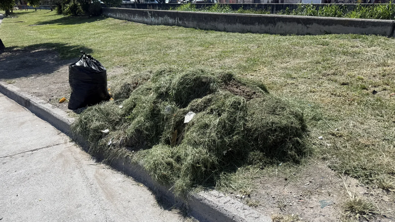 infracción resto de corte de pasto 4
