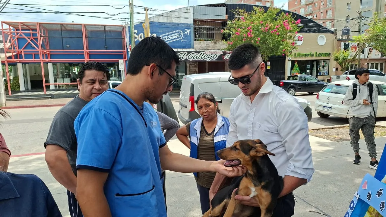 jornada de adopción plaza Alvarado 8 jornada de adopción plaza Alvarado 8