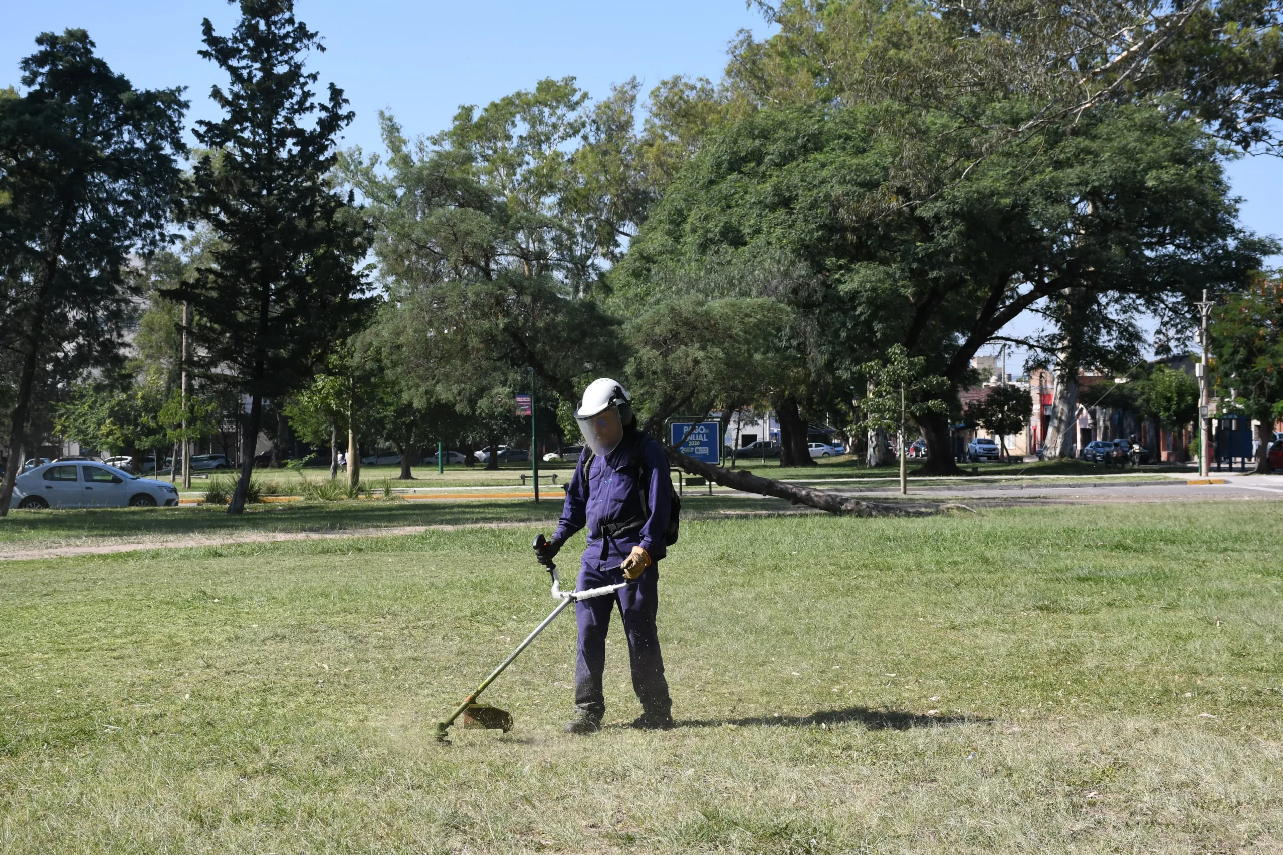 limíeza 20 de febrero 2 limíeza 20 de febrero 2