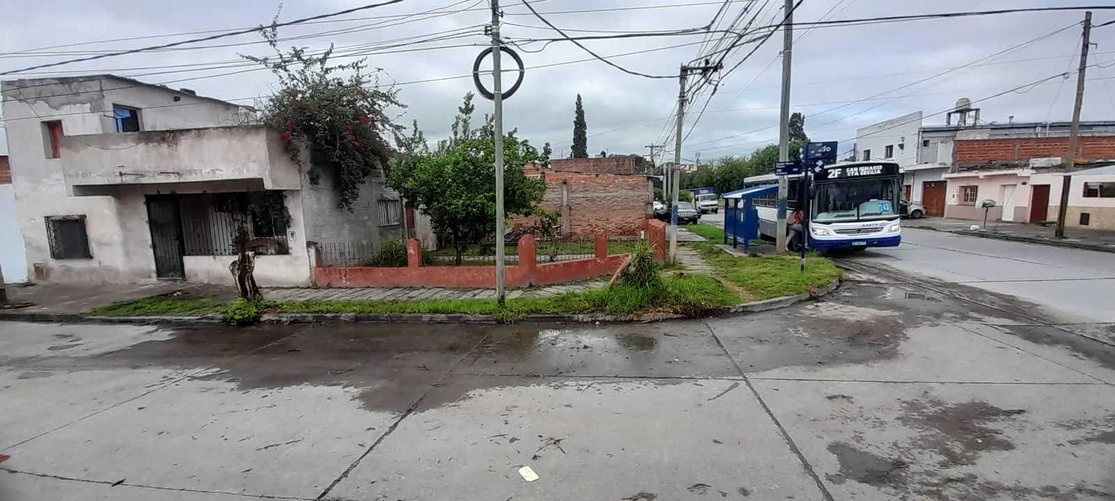 limpieza basural (3)