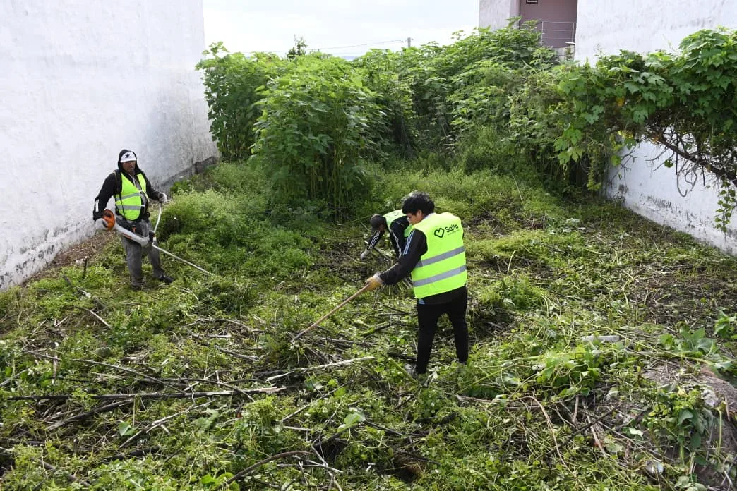 Limpieza de terreno  y vereda  (2)
