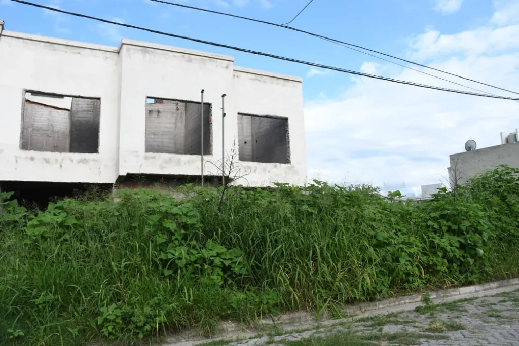 limpieza-de-terreno-y-vereda-3-1024x683