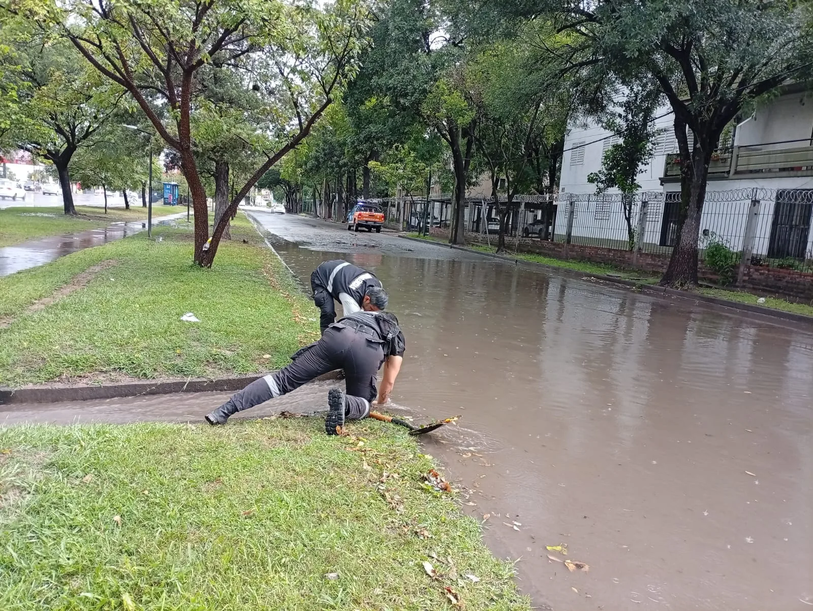 WhatsApp Image 2026-02-19 at 18.49.55