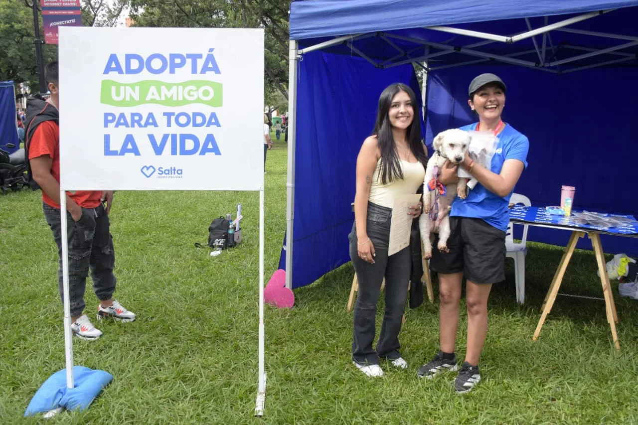 adopciones NB medio maraton perros  (6)