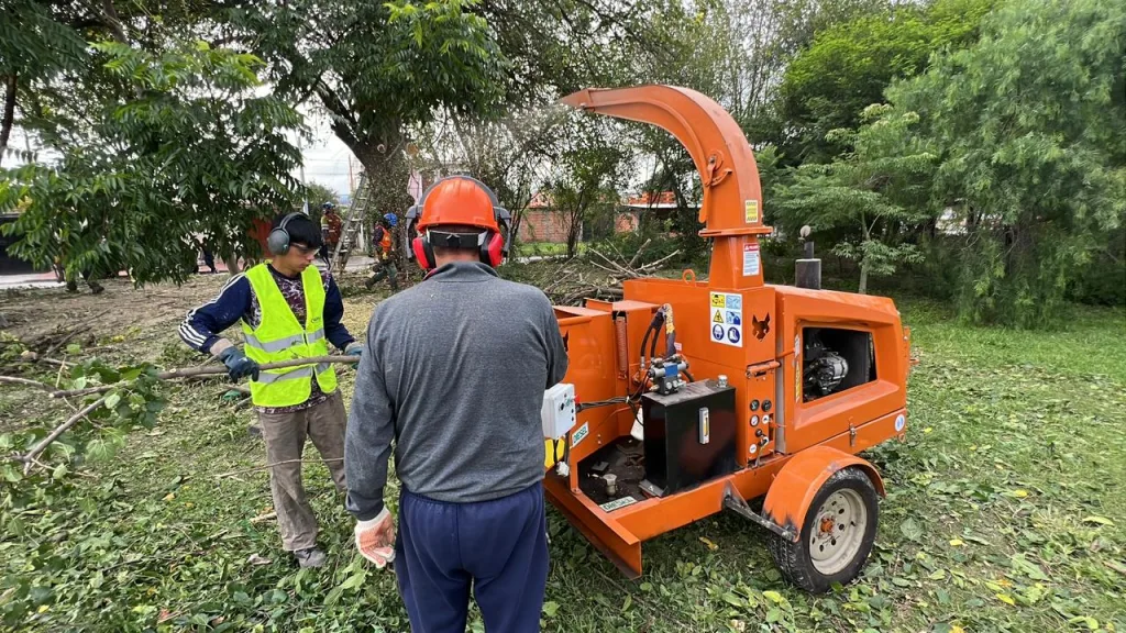 chipeo-av-gato-y-mancha-3-1024x576