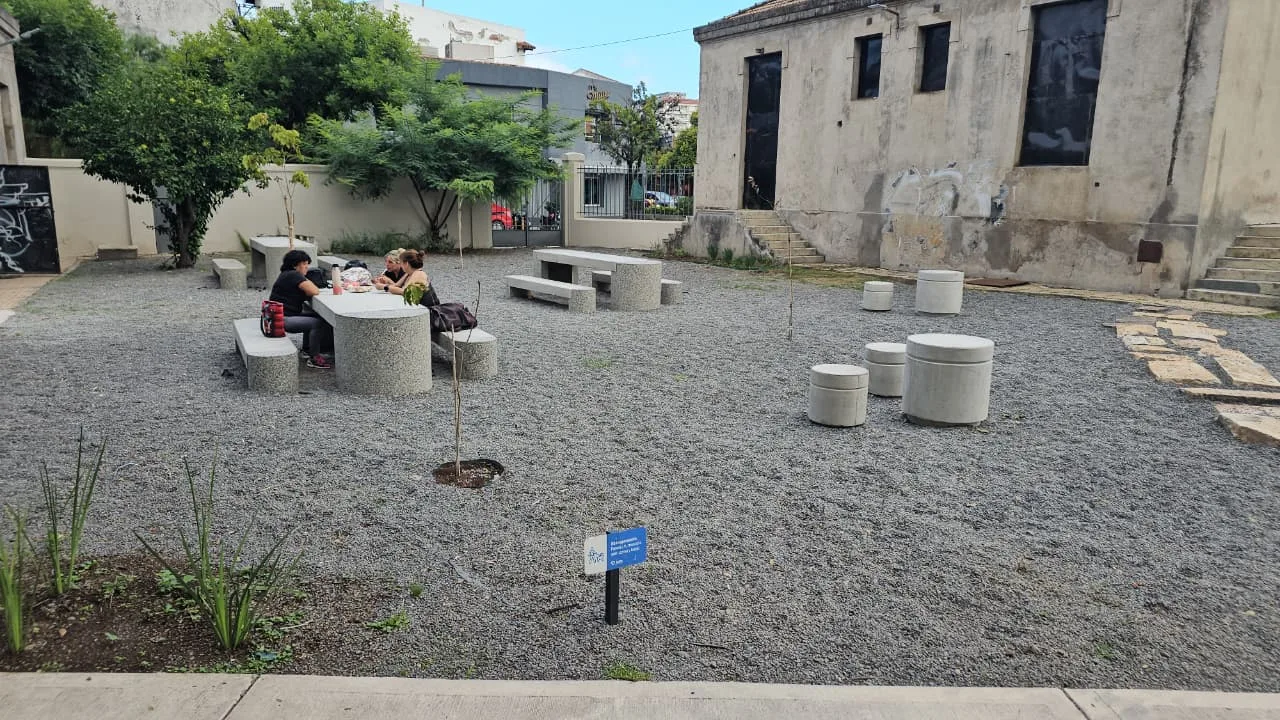 ex paludica  (5)