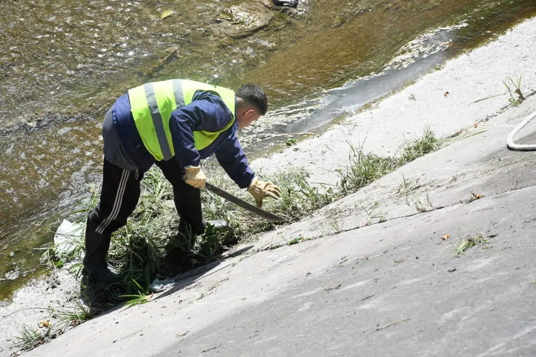 limpieza Yrigoyen (7)