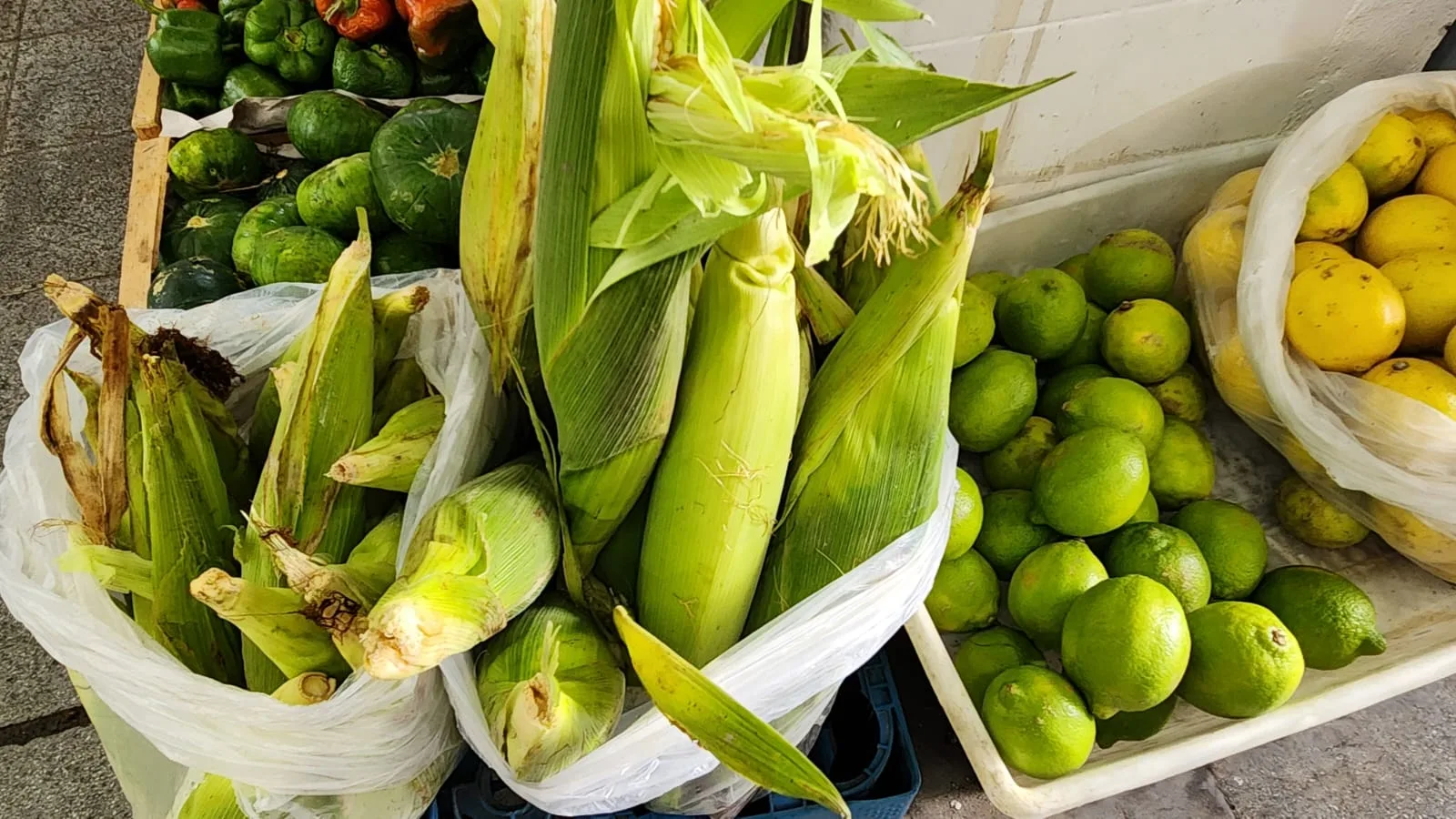 mercado san miguel (2)