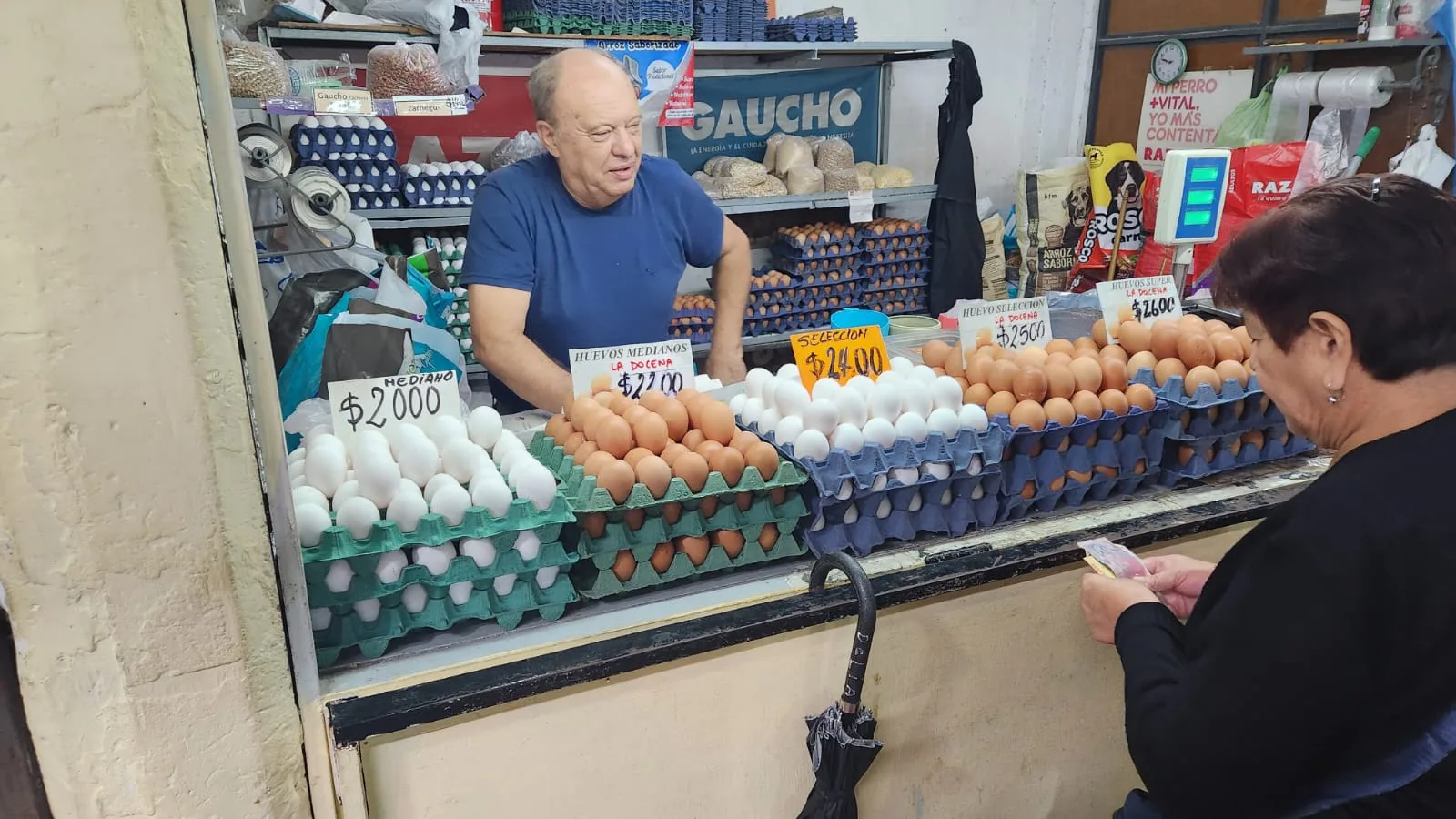 quesos y pesacados huevos (3) quesos y pesacados huevos (3)