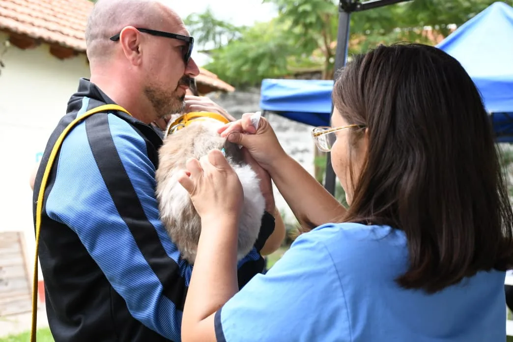 vacunación antirrabica (2) vacunación antirrabica (2)