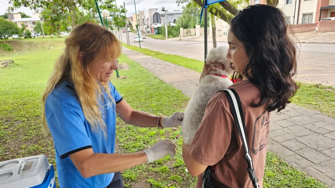 vacunación antirrábica (5) vacunación antirrábica (5)