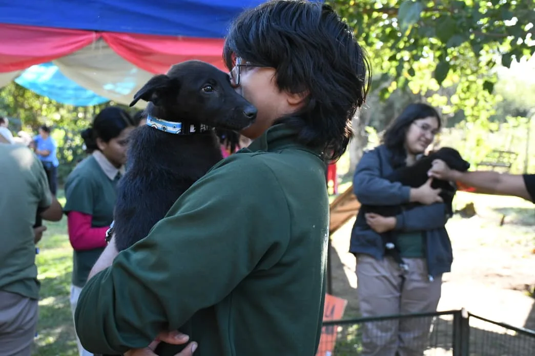Centro de adopciones jornada por el día del animal (3)