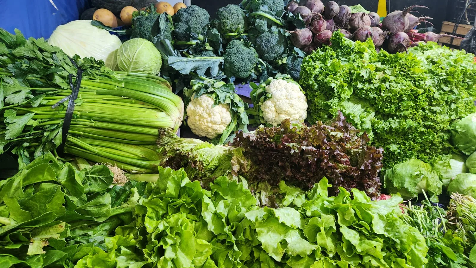 frutas y verduras varias (6)