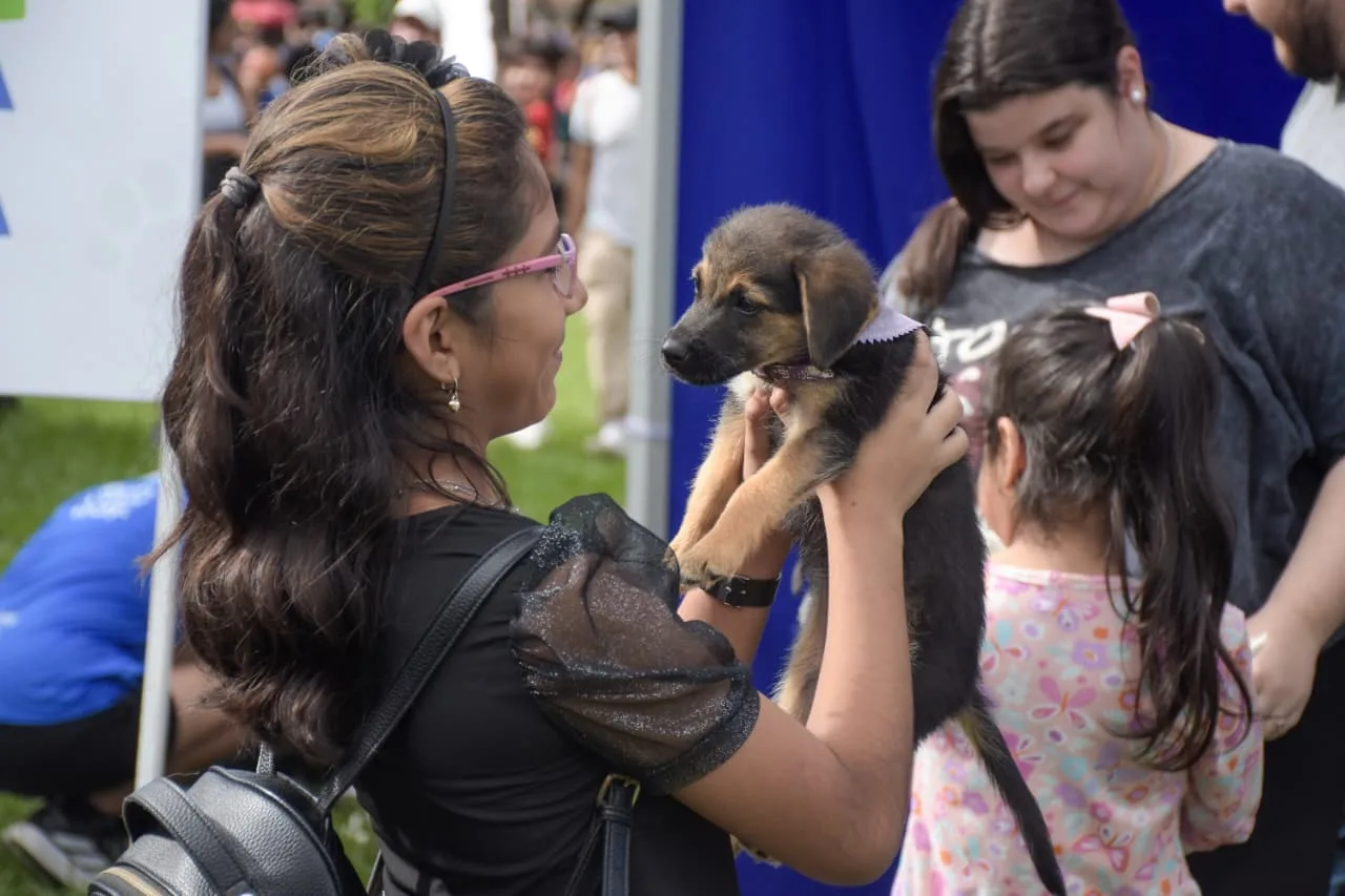 jornada de adopción variedad  (2)