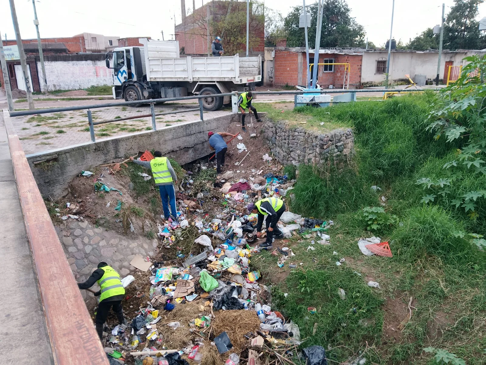Limpieza de basural (5)