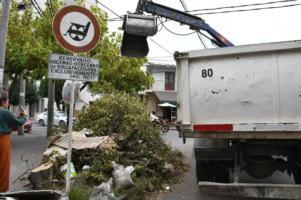 Limpieza de basural España y brown (4) Limpieza de basural España y brown (4)