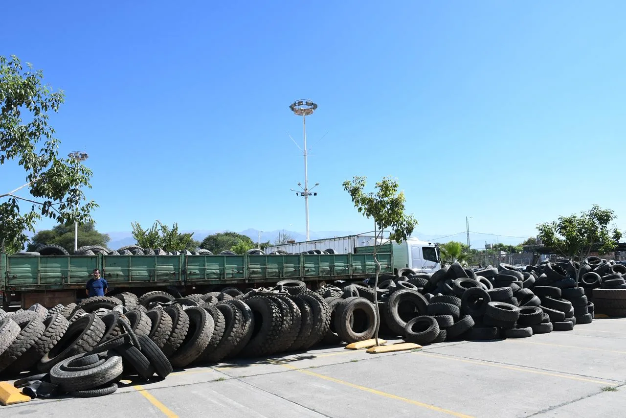 Neumatón edición 24 (10)