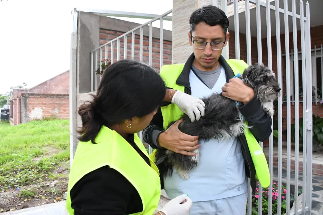 operativo puerta x puerta vacunación (3) operativo puerta x puerta vacunación (3)