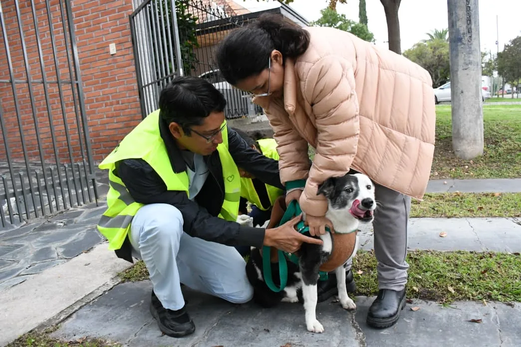 vacunación antirrábica 21