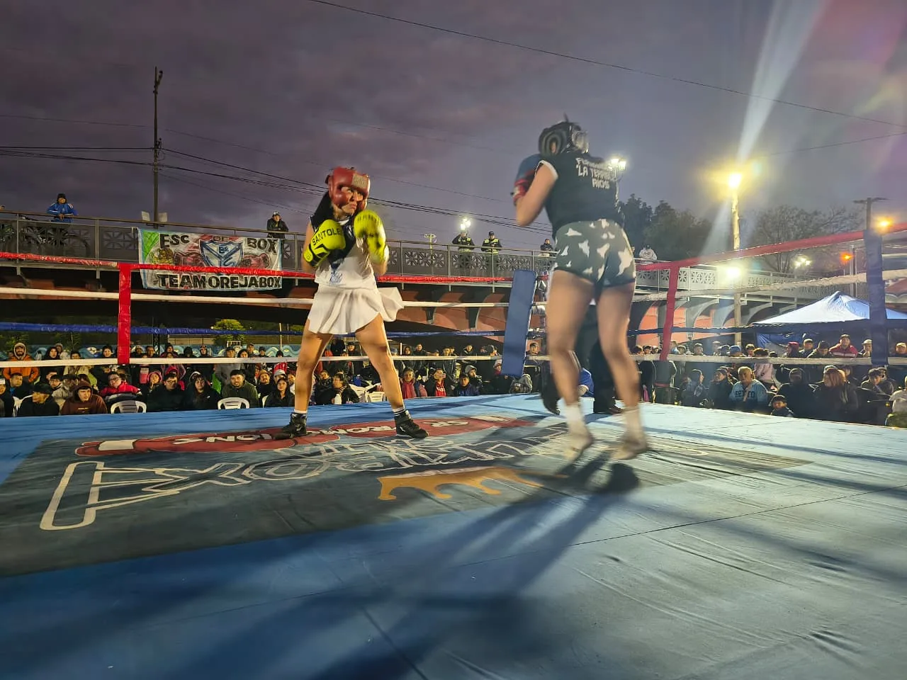 boxeo (8) boxeo (8)