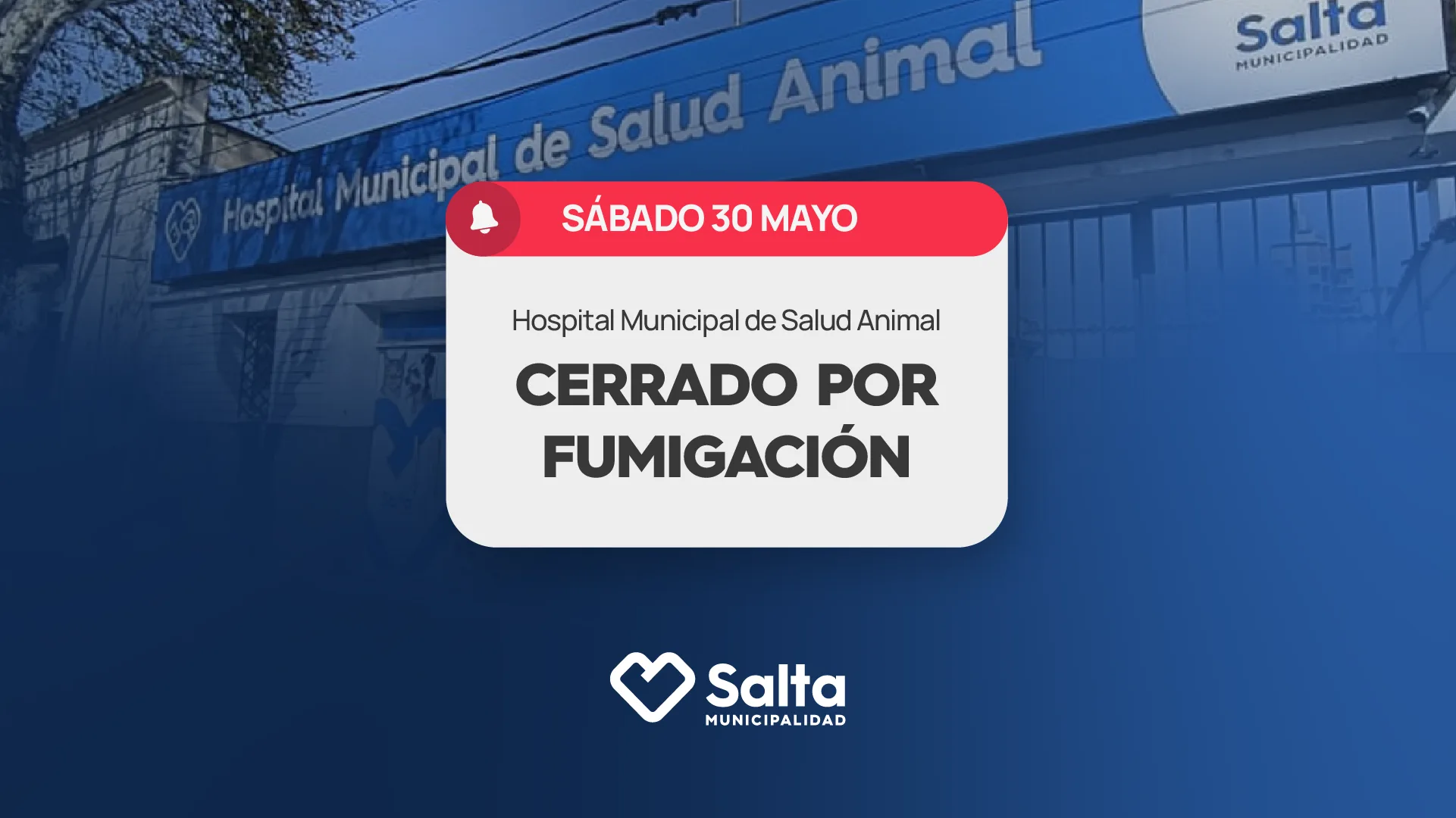 fumigacionsa web fumigacionsa web
