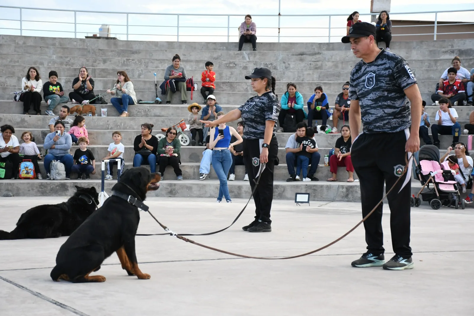Jornada Animal de Adopciones (4) Jornada Animal de Adopciones (4)