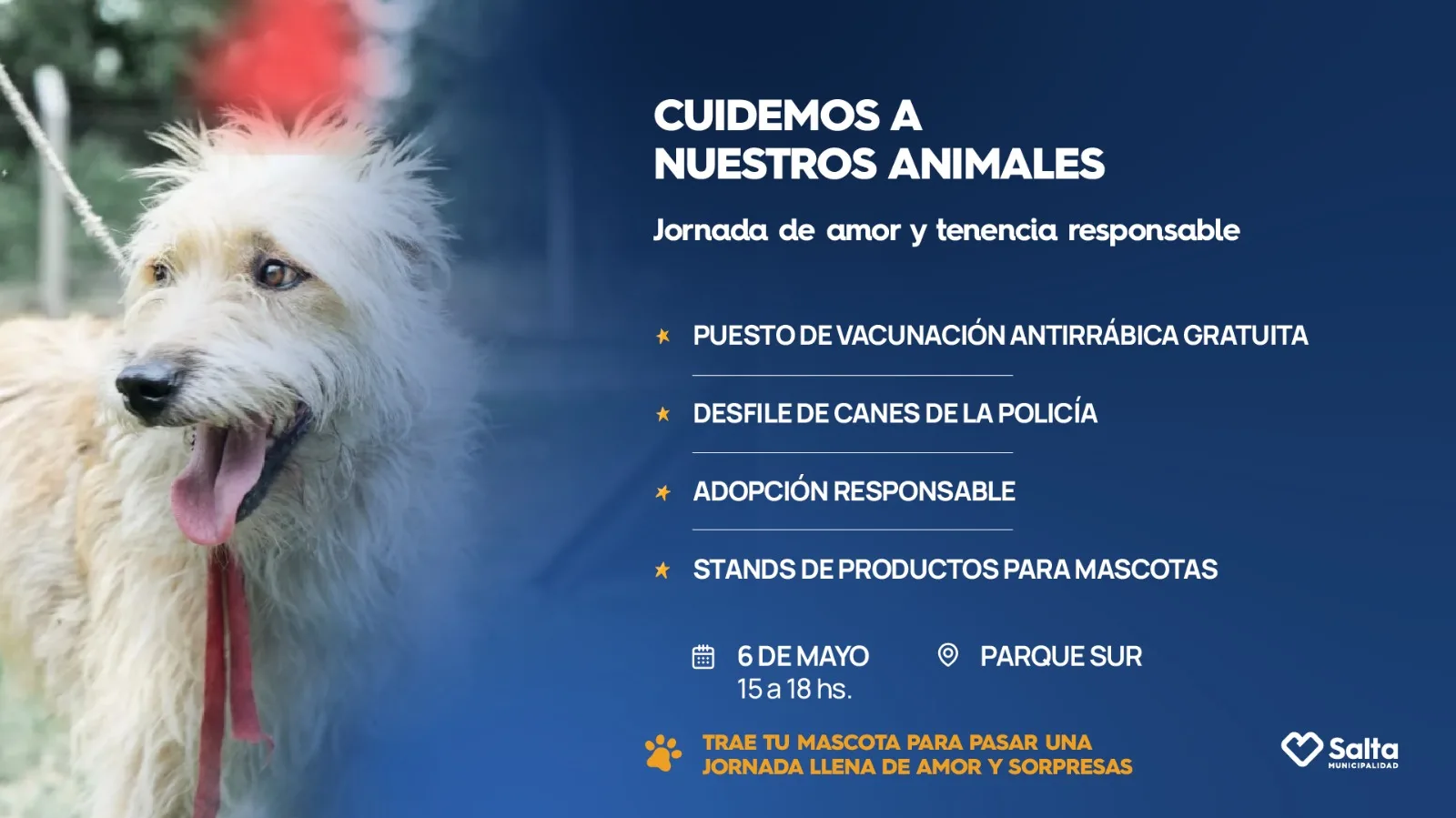 jornada bienetar animal jornada bienetar animal