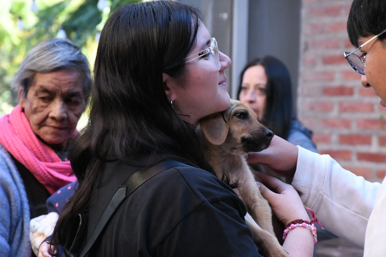 Jornada por el día del perro sin raza (2)